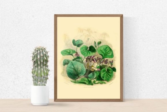 Download Violet Flowers Illustration, Violet - Violet flowers illustration Collection