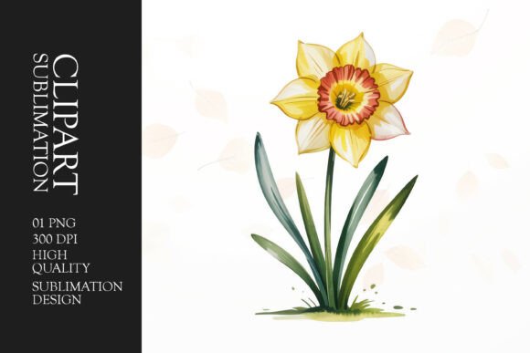 Download Single Daffodil Clipart PNG - Clipart Collection
