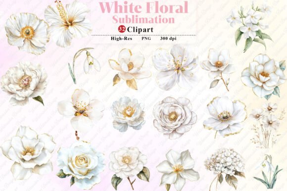 Download Watercolor White Floral Clipart - Clipart Collection