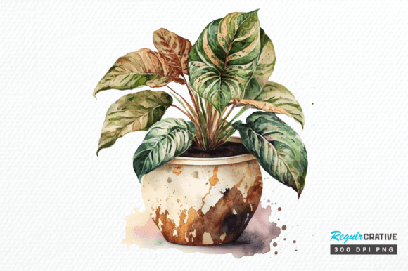 Download Watercolor Potted Plant Clipart Design - Clipart Collection