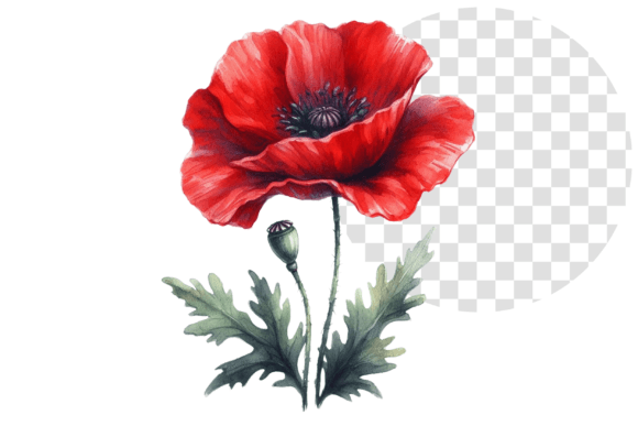 Download Poppify Watercolor Red Poppy Clipart - Clipart Collection