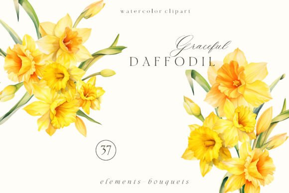 Download Watercolor Daffodil Clipart PNG - Clipart Collection