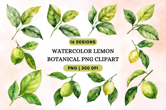 Download Watercolor Lemon Botanical PNG Clipart - Clipart Collection