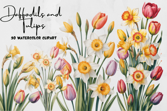Download Daffodils and Tulips Watercolor Clipart - Clipart Collection