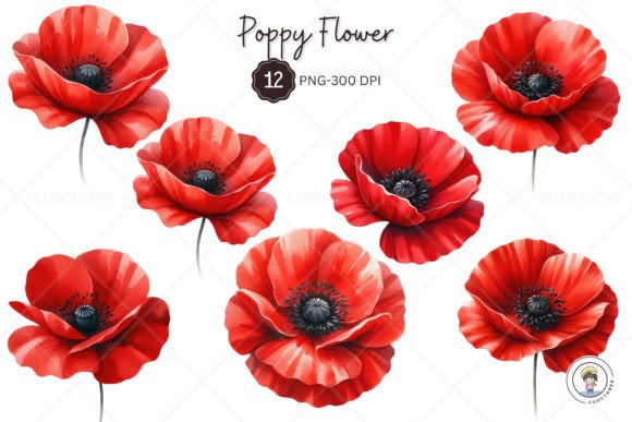 Download Watercolor Red Poppy Flower Clipart - Clipart Collection