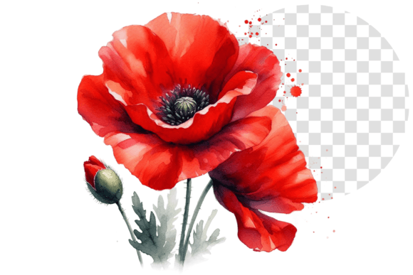Download Poppify Watercolor Red Poppy Clipart - Clipart Collection