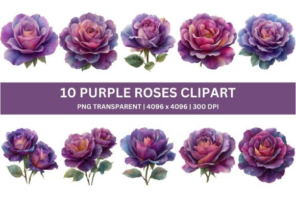 Download 10 Moody Purple Watercolor Rose Clipart - Clipart Collection