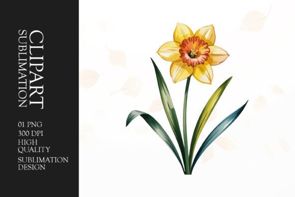 Download Daffodil Clipart PNG - Clipart Collection