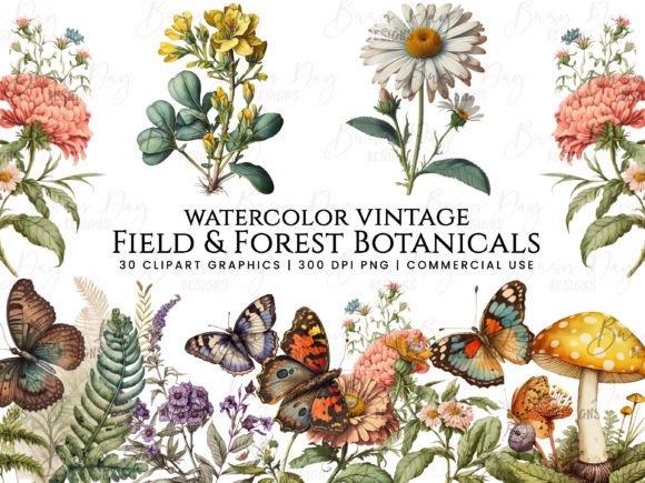 Download Field &amp; Forest Vintage Botanical Clipart - Clipart Collection