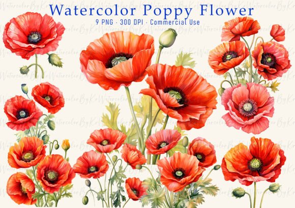 Download Red Poppy Watercolor Clipart PNG Bundle - Clipart Collection