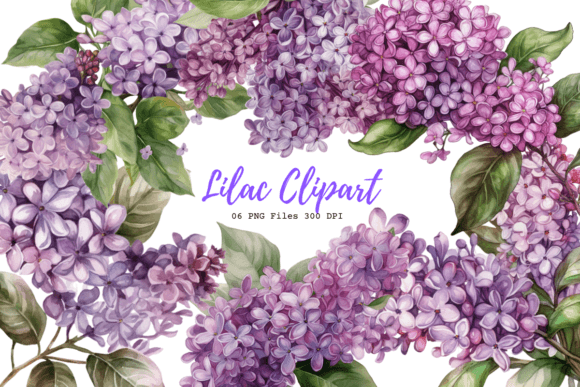 Download Lilac Clipart - Clipart Collection