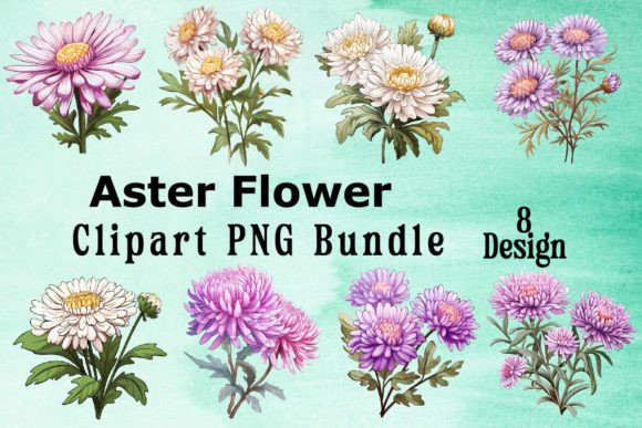 Download Aster Flower Clipart Bundle - Clipart Collection