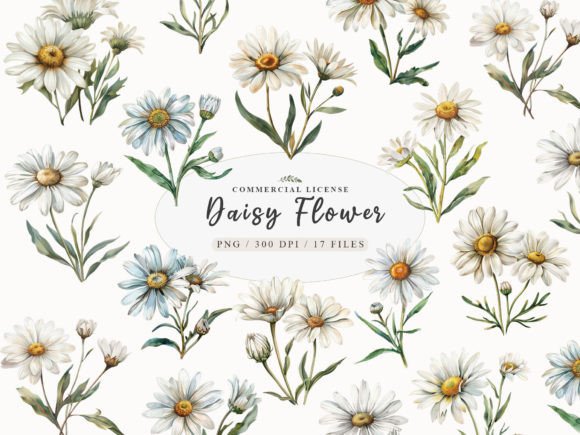Download Daisy Flower Clipart, Watercolor Daisy - Clipart Collection