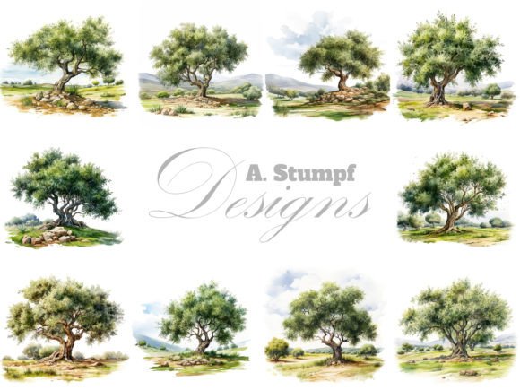 Download Olive Tree Watercolor Clipart Bundle - Clipart Collection