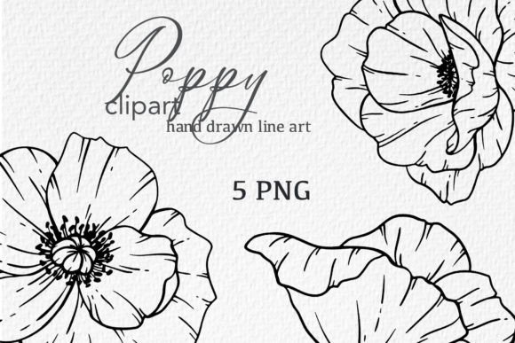 Download Poppy Flowers LINE ART. Poppy CLIPART - Clipart Collection