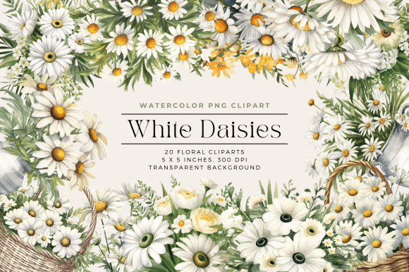 Download Watercolor White Daisies Flower Clipart - Clipart Collection