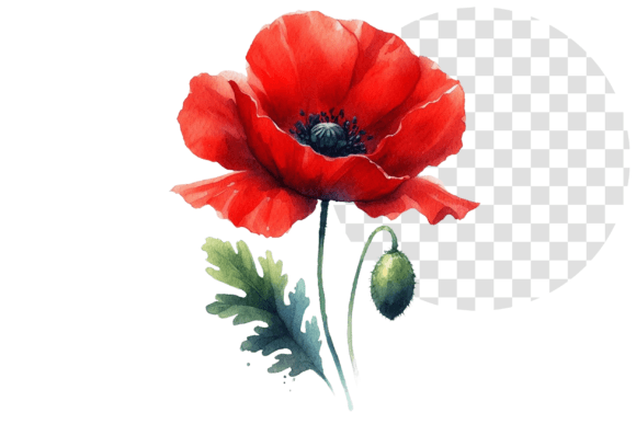 Download Poppify Watercolor Red Poppy Clipart - Clipart Collection