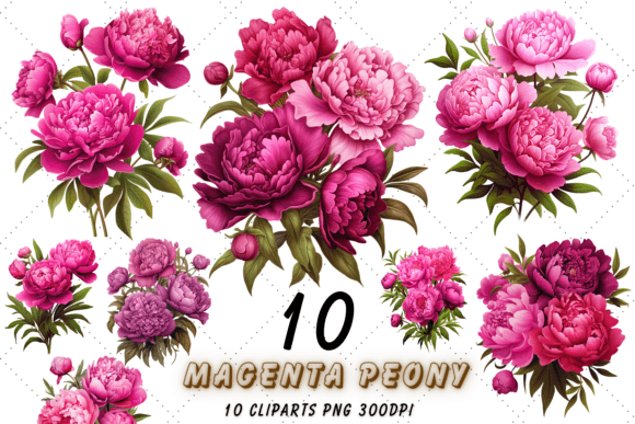 Download Magenta Peony Floral Sublimation Clipart - Clipart Collection