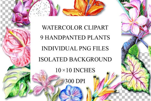 Download Watercolor Plants Clipart, PNG - Clipart Collection