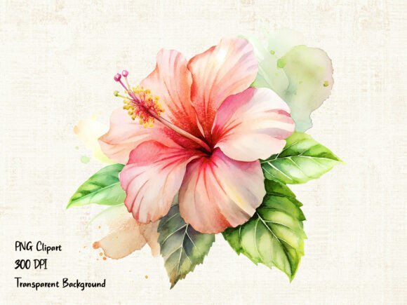 Download Soft Pink Hibiscus Flower PNG Clipart - Clipart Collection