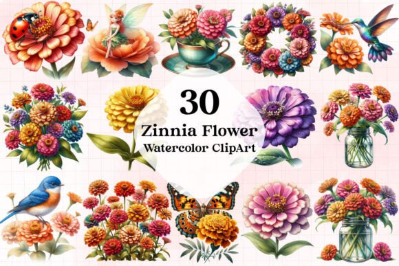 Download Zinnia Flower Watercolor Cliparts - Clipart Collection