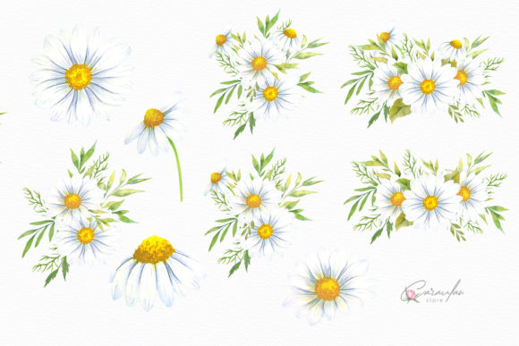 Download Watercolor Daisies Bouquets Clipart - Clipart Collection