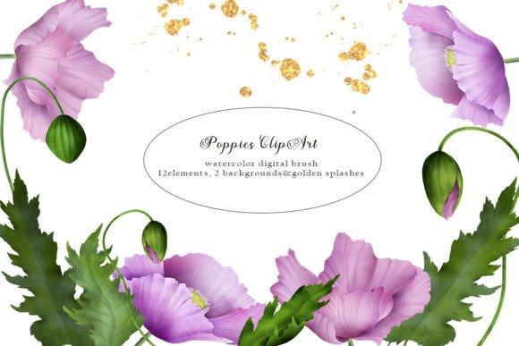Download Poppy Watercolor Clipart, PNG - Clipart Collection