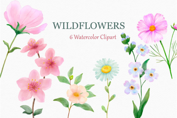 Download Wildflowers Watercolor Clipart Daisy - Clipart Collection