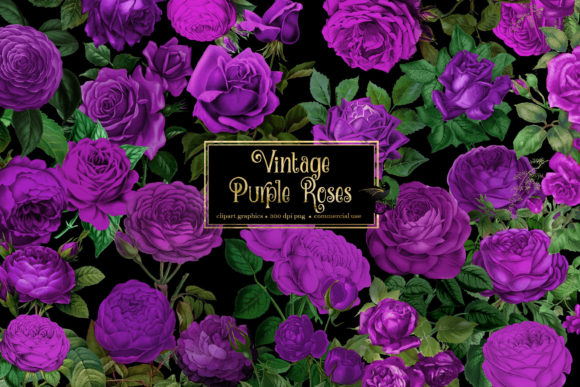 Download Vintage Purple Roses Clipart - Clipart Collection