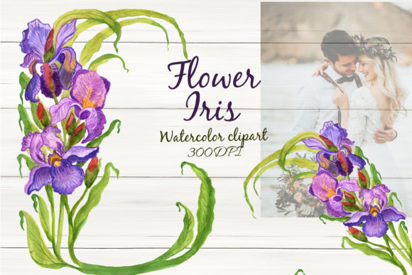 Download Watercolor Flower Iris Spring Clipart - Clipart Collection