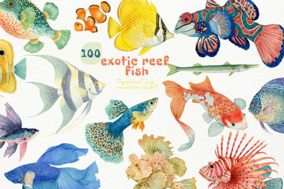 Download Watercolor Exotic Fish PNG Clipart - Clipart Collection
