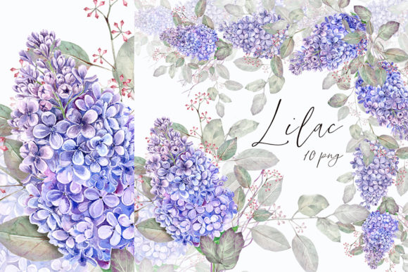 Download Lilac Clipart - Clipart Collection