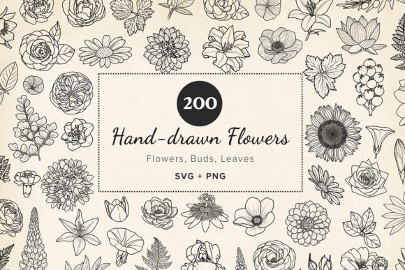 Download 200 Hand-drawn Flower &amp; Leaf SVG Clipart - Clipart Collection