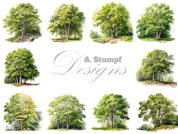 Download Beech Tree Watercolor Botanical Clipart - Clipart Collection