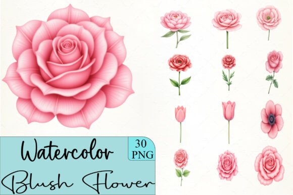 Download Blush Flower Clipart - Clipart Collection