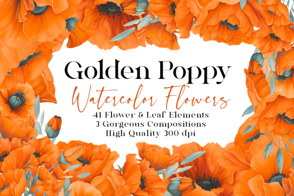 Download Golden Poppy Watercolor Floral Clipart - Clipart Collection