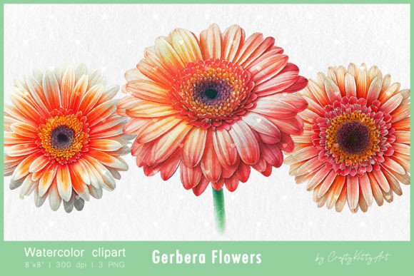 Download Gerbera Daisy Flower Watercolor Clipart - Daisy flower watercolor clipart Collection