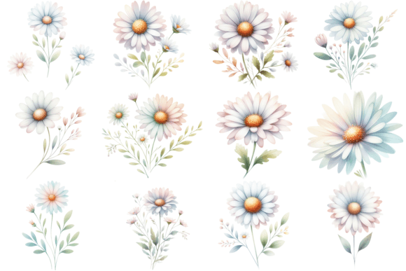 Download 12 Daisy Watercolor Clipart Bundle - Clipart Collection