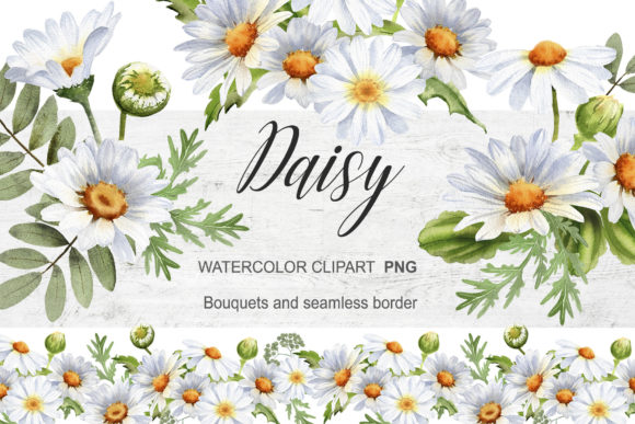 Download Watercolor Daisy Clipart Chamomile - Clipart Collection