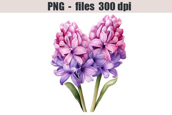 Download Hyacinth Flower Watercolor Clipart - Clipart Collection