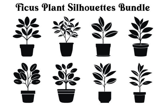 Download Ficus Potted Plant Clipart Silhouettes - Clipart Collection