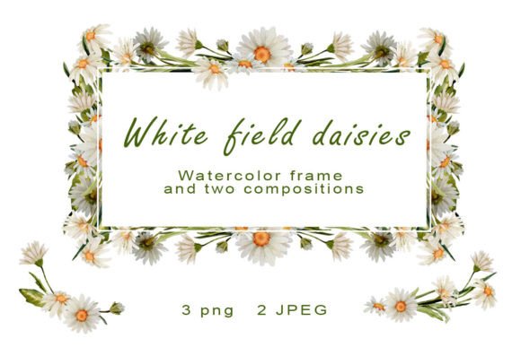 Download Daisy Watercolor Frame Clipart Chamomile - Clipart Collection