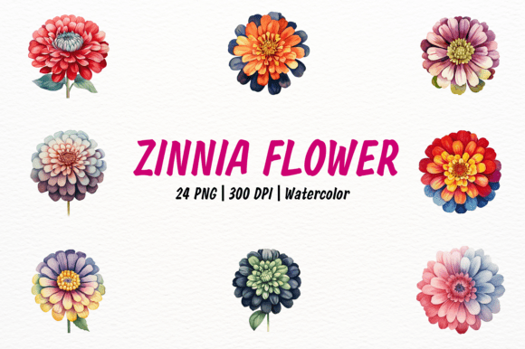 Download Vibrant Zinnia Flower Clipart - Clipart Collection
