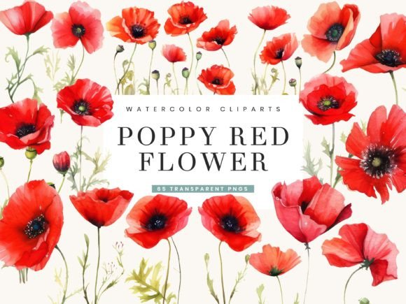 Download Poppy Red Flowers Clipart Bundle - Clipart Collection