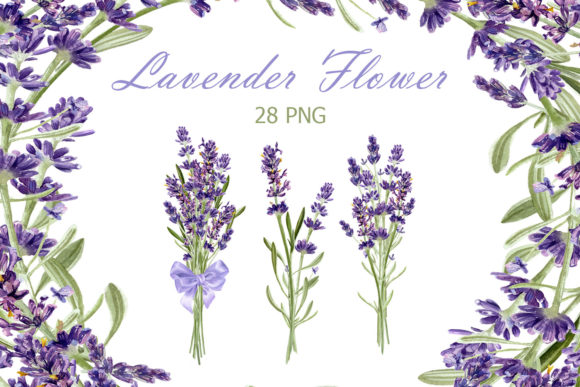 Download Watercolor Lavender Clipart - Clipart Collection