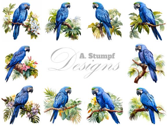 Download Hyacinth Macaw Parrot Watercolor Clipart - Clipart Collection