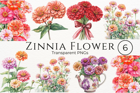 Download Zinnia Flower Watercolor Cliparts - Clipart Collection