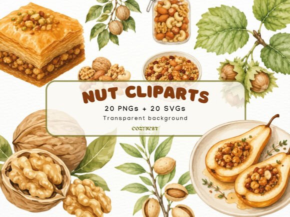 Download Nut Watercolor Cliparts, Botanical PNG - Clipart Collection