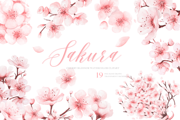 Download Watercolor Sakura PNG Clipart Hand Drawn - Clipart Collection