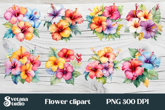 Download Hibiscus Tropical Flower Clipart PNG - Clipart Collection